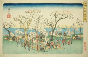 Iloa Goten Hillillä (Gotenyama yukyo), sarjasta "Famous Places in Edo (Koto meisho)" tekijältä Utagawa Hiroshige