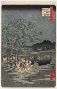 Uudenvuodenaaton Foxfires at Nettle Tree, O_ji, syyskuu 1857