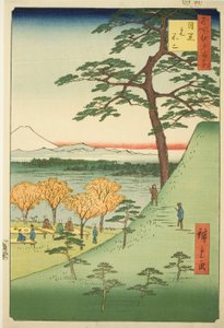 Alkuperäinen l Fuji, Meguro (Meguro Motofuji), sarjasta `` Harju verkkojen harjuille Views of Edo (Sata kuuluisaa Edon näkymää)