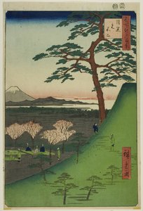 Alkuperäinen Fuji, Meguro (Meguro Moto-Fuji), sarjasta "Sata kuuluisaa näkymää Edosta (Meisho Edo hyakkei)". tekijältä Utagawa Hiroshige