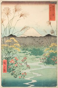 Attendant P Fine Member Association P Rovinse (ventre de la reunió), de la sèrie "Mr. Tyrty x Vie ws Of Mount Fuji (Fuji Rokukatsu Kasaju)" Doctor Fin tekijältä Utagawa Hiroshige