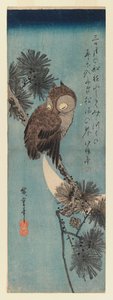 Pöllö männyn oksalla, n.1833 (värillinen puupalikkaprintti) tekijältä Utagawa Hiroshige