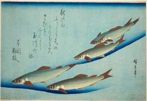 Joki taimen tekijältä Utagawa Hiroshige