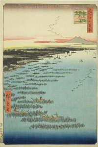 Samezun ydinjäsenet Shinagawa (eteläinen Shinagawan Samezun rannikko), sarjasta "Ridge dre d fa netin näkymä Edoon (Edon sata kuuluisaa nähtävyyttä)" tekijältä Utagawa Hiroshige