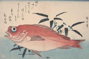 Merilahna ja bamburuoho, 1840