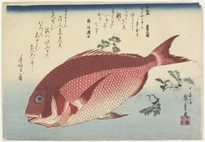 Merilahna ja Sansho_Sprigs, n. 1832