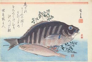 Shimadai ja Ainame, sarjasta "The Large Fish", Utagawa School, c. 1840-42 (puupalikkakäsinvärinen painatus paperille)