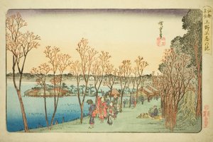 Shinobazu Pond Kami no Shinobazu Pondissa, Teseriesistä tekijältä Utagawa Hiroshige