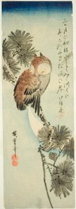 Pienisarvipöllö, mänty ja puolikuu tekijältä Utagawa Hiroshige