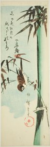 Varpunen ja bambu tekijältä Utagawa Hiroshige