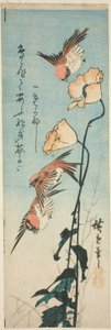 Varpuset ja unikot tekijältä Utagawa Hiroshige
