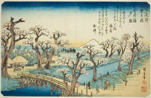 Gow at Koganei Bridge (Koganei-bashi checkpoint), Te-sarjasta tekijältä Utagawa Hiroshige