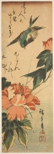 Niele ja hibiscus tekijältä Utagawa Hiroshige