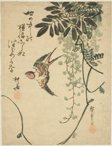 Pääskynen ja wisteria tekijältä Utagawa Hiroshige