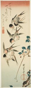 Pääskyset ja kirsikankukat tekijältä Utagawa Hiroshige