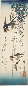 Pääskyset ja wisteria tekijältä Utagawa Hiroshige