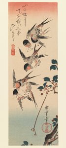 Tanzaku, neljä pääskystä, 1832 (värillinen puupainatus) tekijältä Utagawa Hiroshige