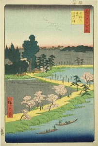 Kietoutunut kamferipuu Azuman pyhäkössä (Azuma no mori Renri no azusa), sarjasta "Sata kuuluisaa näkymää Edosta (Meisho Edo hyakkei)" tekijältä Utagawa Hiroshige