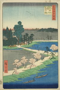Kietoutunut kamferipuu Azuman pyhäkössä (Azuma no mori Renri no azusa), sarjasta "Sata kuuluisaa näkymää Edosta (Meisho Edo hyakkei)" tekijältä Utagawa Hiroshige