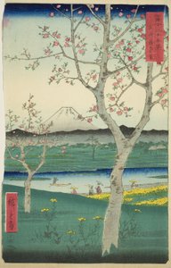 Koshigayan esikaupunki Musashin maakunnassa (Musashi Koshigaya zai), sarjasta "Kolmekymmentäkuusi näkymää Fuji-vuorelle (Fuji sanjurokkei)" tekijältä Utagawa Hiroshige