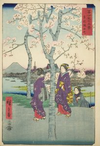 Sumidan pengerrys itäisessä pääkaupungissa (Toto Sumida-zutsumi), sarjasta "Kolmekymmentäkuusi näkymää Fuji-vuorelle (Fuji sanjurokkei)" tekijältä Utagawa Hiroshige