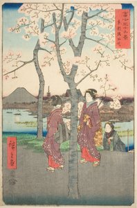Sumidan pengerrys itäisessä pääkaupungissa (Toto Sumida zutsumi), sarjasta "Kolmekymmentäkuusi näkymää Fuji-vuorelle (Fuji sanjurokkei)" tekijältä Utagawa Hiroshige