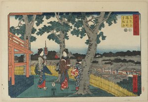 Näkymä Matuschiyama-kukkulalle, Saruwakan alue ja Kinryu_zan-temppeli, marraskuu 1853