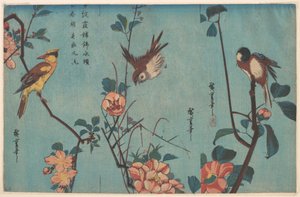 Tiainen ja kameliat (oikealla), varpunen ja villiruusut (keskellä) sekä mustaniskakäpylintu ja kirsikankukat (vasemmalla) tekijältä Utagawa Hiroshige