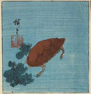 Kilpikonna tekijältä Utagawa Hiroshige
