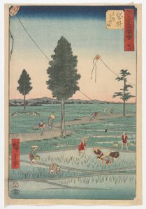 Kaksikymmentäkahdeksan, Fukuroi, Edo-kausi, 1855 (värillinen puupainatus)