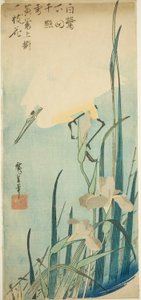 Valkohaikara ja iiris tekijältä Utagawa Hiroshige