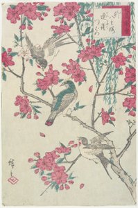 Paju, kirsikankukat, varpuset ja pääskynen, 1800-luvun alku