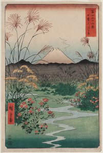 ōtsuki Plain Kai Province (Kai ōtsuki no hara), sarjasta Thirty-six Views of Mount Fuji tekijältä Utagawa Hiroshige
