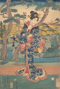 Nuori tyttö teehuoneessa Iriyassa, 1800-luvun puoliväli. tekijältä Utagawa Hiroshige II