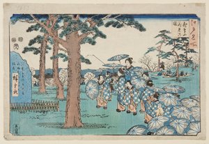 Kirsikankukkien katselu Asuka-kukkulalla (Asukayama hanami no zu) (värillinen puupainatus)
