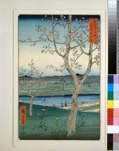 Koshigaya Musashin maakunnassa tekijältä Utagawa II Hiroshige