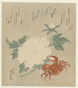 Pioni rapuilla tekijältä Utagawa Kunisada (I)