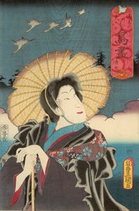 Wild Hanhet, julkaisija Otaya Takichi tekijältä Utagawa Kunisada