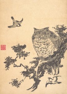Pöllö ja kaksi pääskystä. tekijältä Utagawa Toyohiro