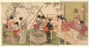 Seitsemäs kuukausi, Two Artists -sarjasta The Twelve Months (Ryoga juni ko) tekijältä Utagawa Toyohiro