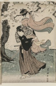 Kirsikankukkia tuulessa tekijältä Utagawa Toyokuni