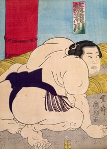 Sumo Wrestler, kirjoittanut Utagawa Toyokuni, puupiirros