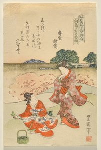 Herb Gathering Muk?jimassa, sarjasta Famous Edo Sites at Springtime