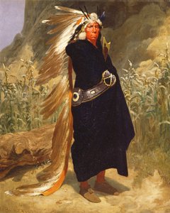 Intiaanipäällikön muotokuva, 1875