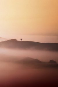 Lone Tree Golden Mist tekijältä Vanja Tajnsek