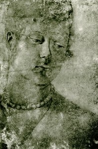 Naisen pään tutkimus tekijältä Venetian School