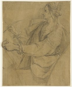 sibyl