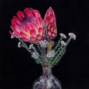 King Protea -kukkakimppu tekijältä Viccy Wanliss