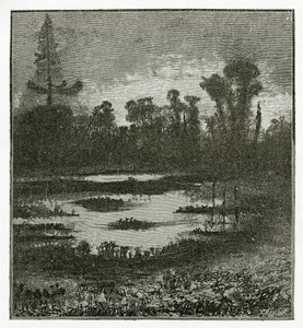 Les Chants du Crépuscule, 1800-luku (bw-kaiverrus) tekijältä Victor Hugo