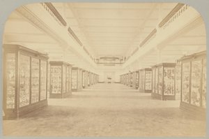 Pl. III. Päätarina: Linnut